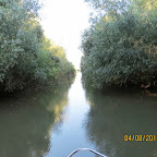IMG_6167.JPG