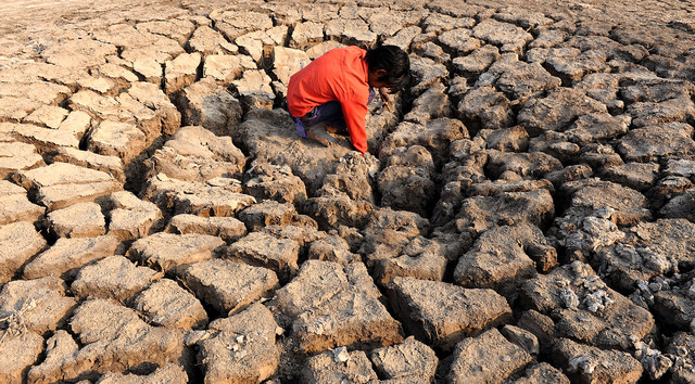 A parched dry bed in the Khadaghoda Sector in the Little Rann of Kutch, some 160 kms from Ahmedabad, India. Photo: Sam Panthaky / AFP via Getty Images