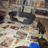 IMG_1677.JPG