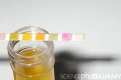[imagesCAACXEFL%255B2%255D.jpg]