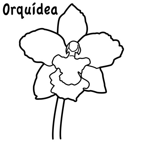 La Orquidea De Venezuela Para Colorear Imagui
