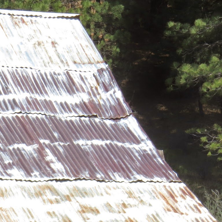 [Metal-roof-music-CrystalHarling4.jpg]