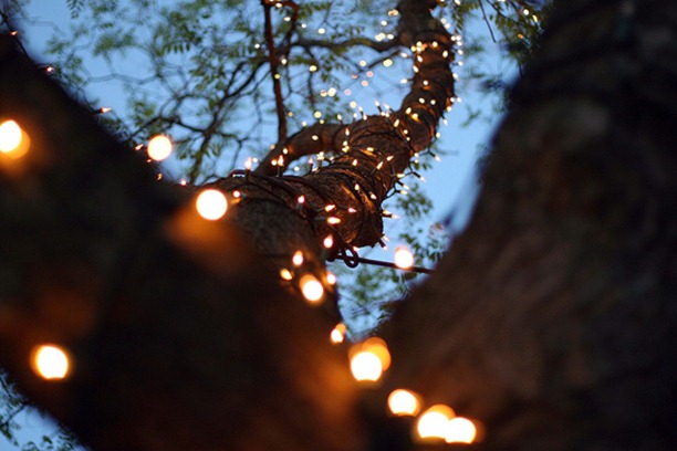 natal-15