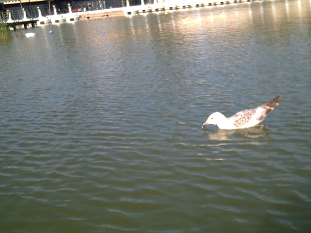 [PICT0006%255B3%255D.jpg]