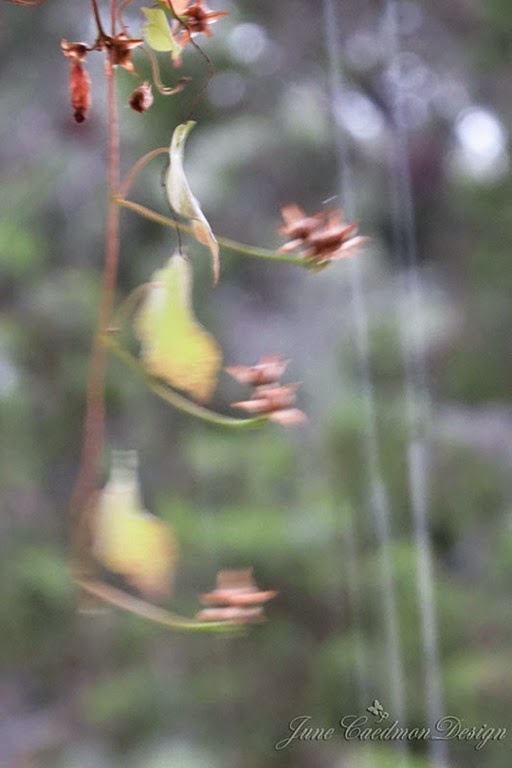 [Rain4%255B3%255D.jpg]