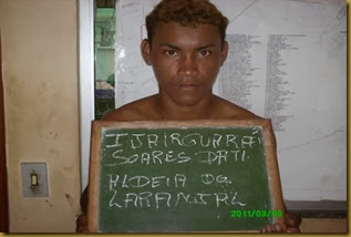 indigina indigina