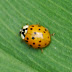 P1290892