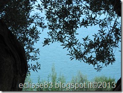 IMG_0182 IMG_0182