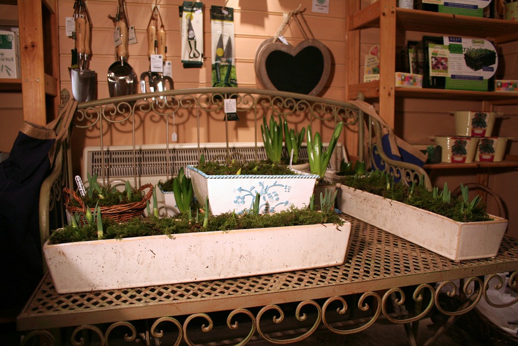 [EWG-Shop-Feb-2009-593.jpg]