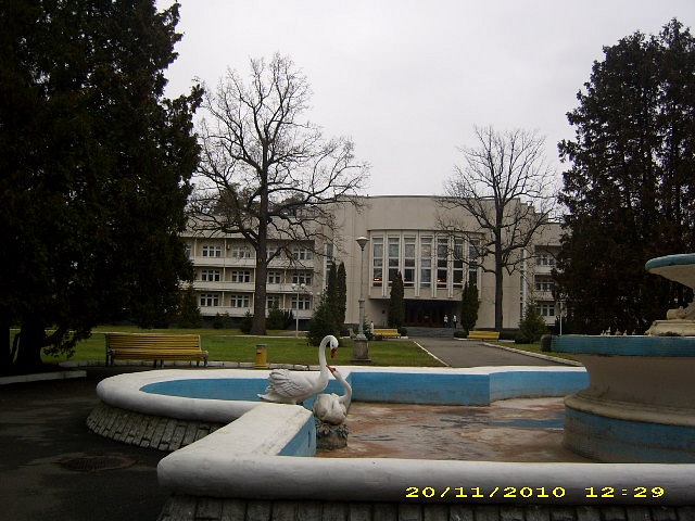 06-22-11-2010_Пуща_Оксана.jpg