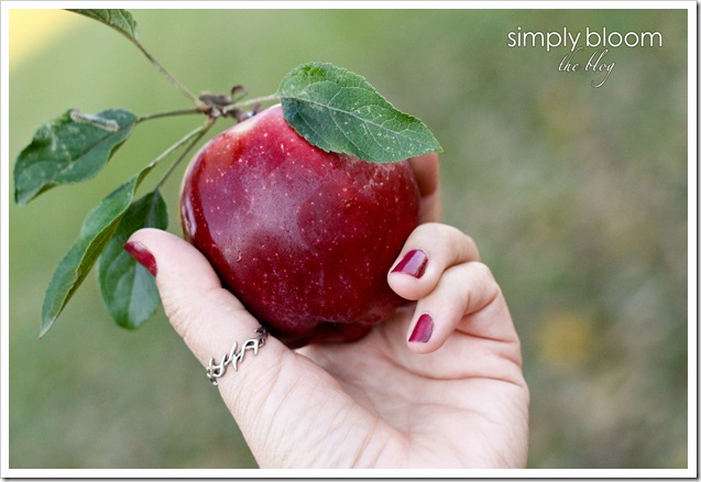 The apple (1 of 1)