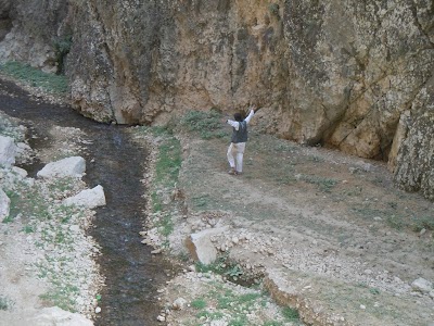 DSCN3941.jpg