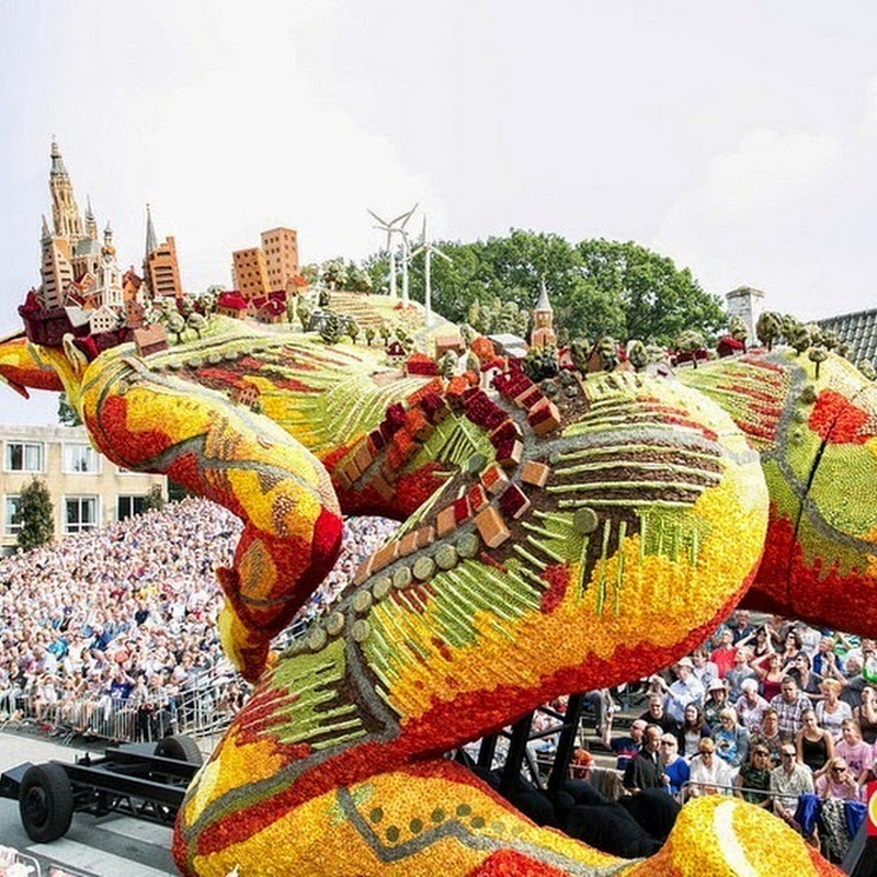 Festival Hoa ở Hà Lan