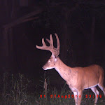 ICAM0006.JPG