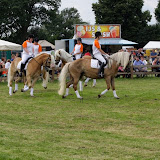 _MG_5677.JPG