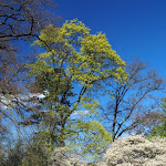 P4200652e.jpg