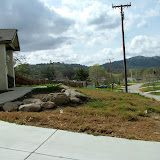 Front Yard Makeover