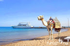 ����-15 ����� Pharaon Club Hurhada ex. Santa Maria 3*