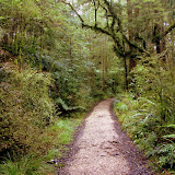 The Walk to Honeycomb Hill - Karamea, New Zealand