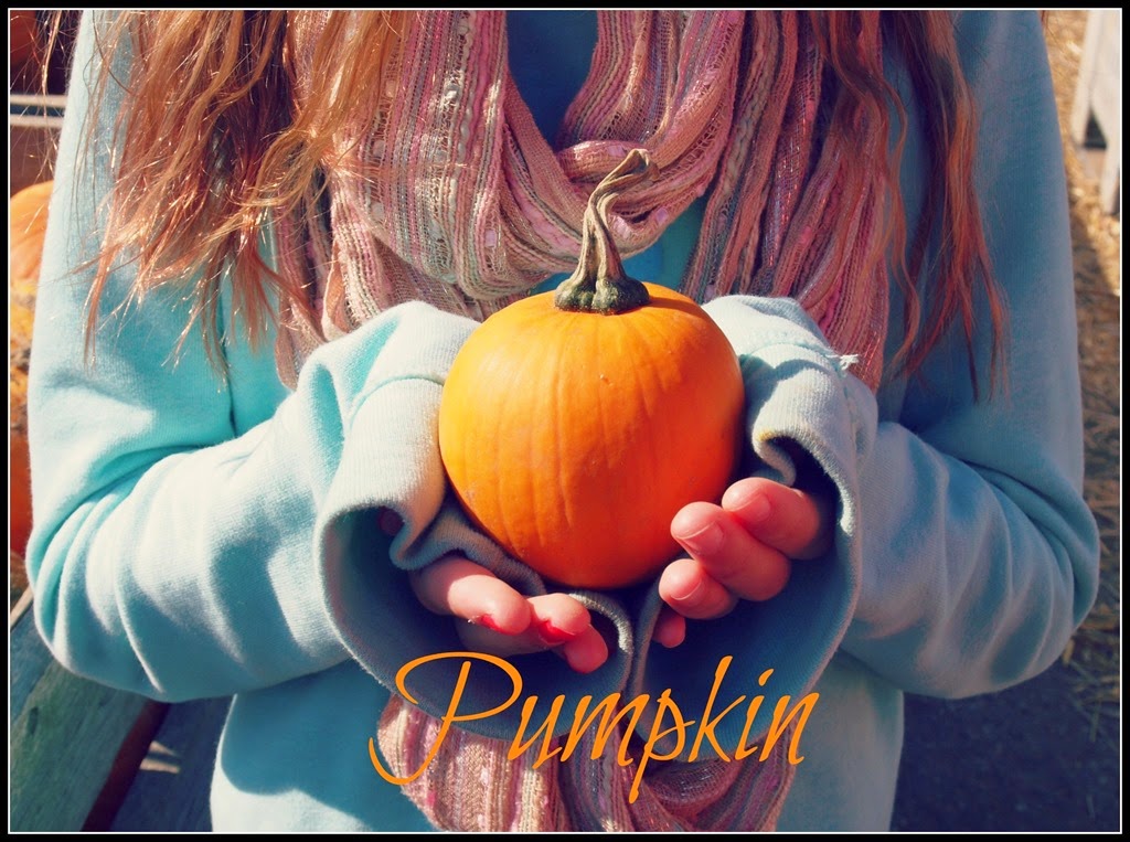 [pumpkin%255B4%255D.jpg]