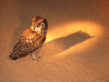 South Africa - 113.JPG