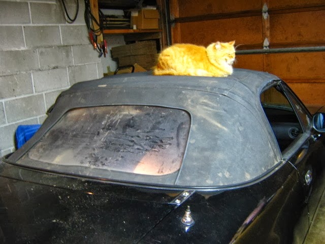 [IMG_0397%255B4%255D.jpg]