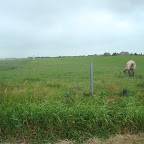 DSC05859.JPG