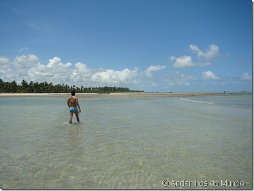 Praia de São Miguel dos Milagres Alagoas Maré Baixa