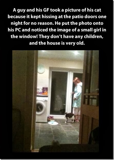 funny-ghost-girl-window-cat funny-ghost-girl-window-cat