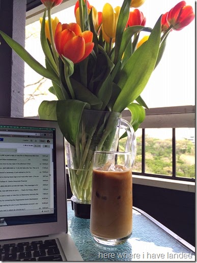 TulipsAndCoffee TulipsAndCoffee