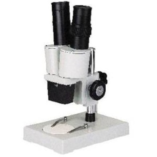mikroskop stereo