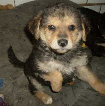 [bruckenfamilie13%255B2%255D.jpg]