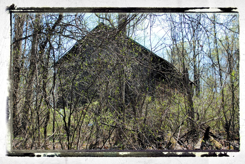 [DSC_01255.jpg]