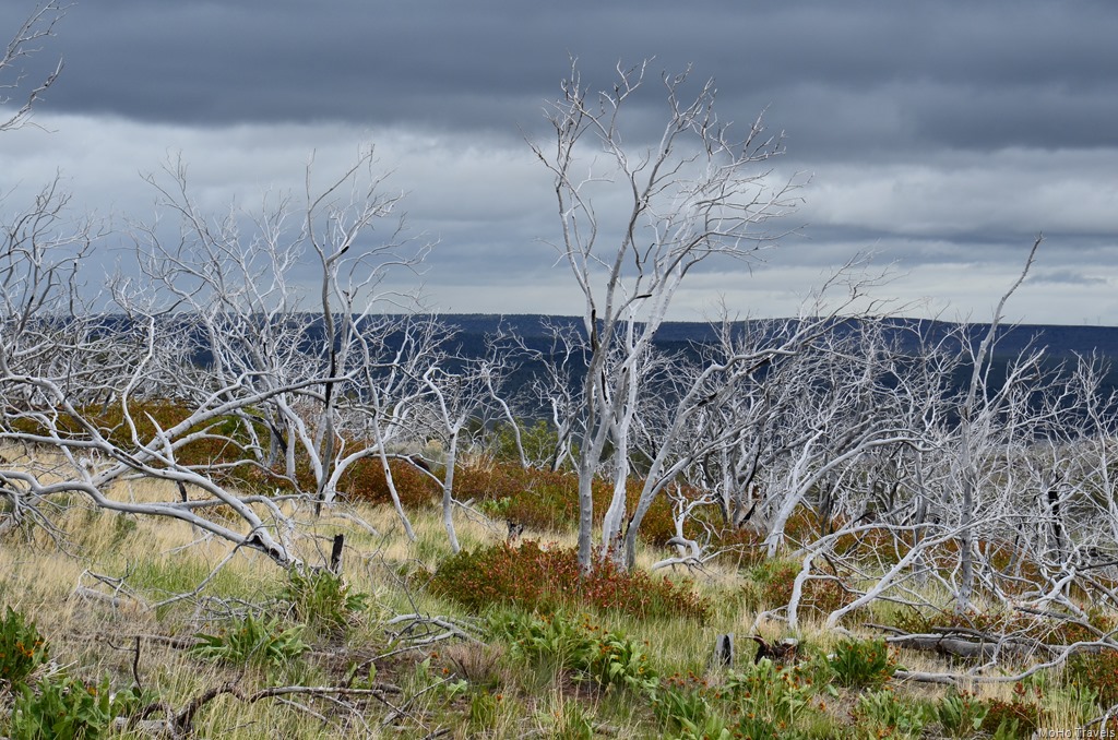 [Day%25205%2520Summer%2520Lak_002DSC_0002%255B4%255D.jpg]