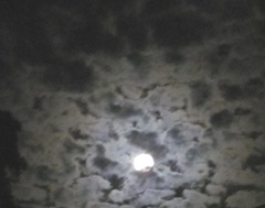 Blue moon full moon 8.31.12 Blue moon full moon 8.31.12