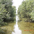 DSCN7282.JPG