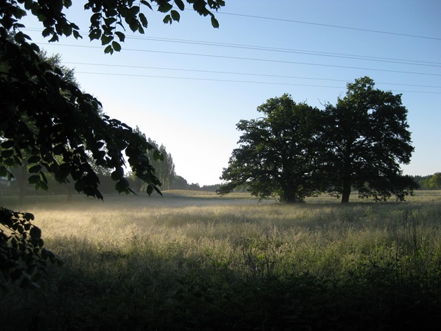 [IMG_1195%255B3%255D.jpg]