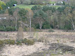 The old railway line from Christchurch to Hurn (the Avon Causeway Hotel is the old station)