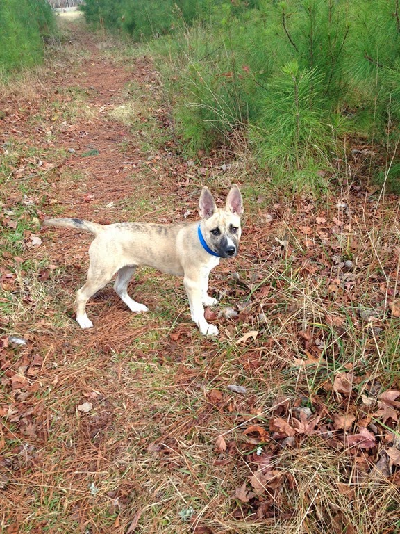 [IMG_3326%255B4%255D.jpg]