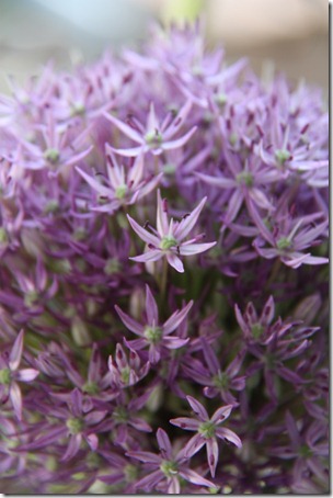 bloemenbol