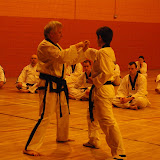 Master Harrison Seminar 2011 - IMGP3164.JPG