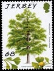 [trees%255B30%255D.jpg]