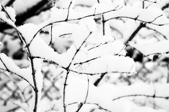 [BWSnow2.jpg]