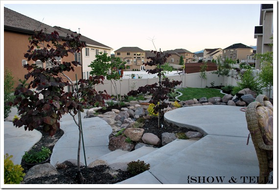 {Backyard – so far} backyard 2011 033