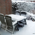 DSC_3429.JPG