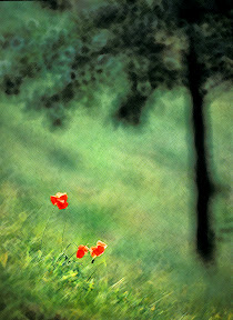 Impressions of Spring by John Powell EFIAP DPAGB BPE4