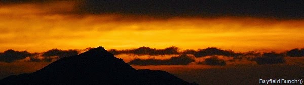 DSC_0485 DSC_0485