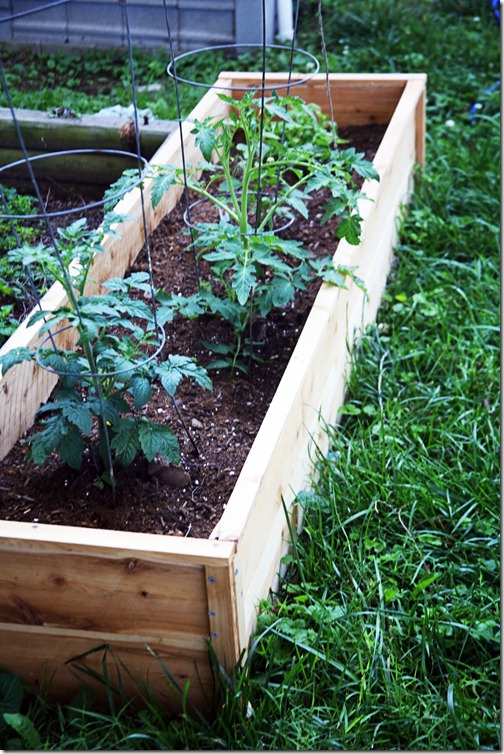 planter2 planter2