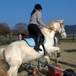 DSC_0093.NEF.jpg DSC_0093.NEF.jpg