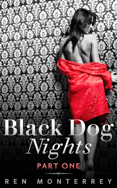 [Black-Dog-Nights-One-Cover3.jpg]